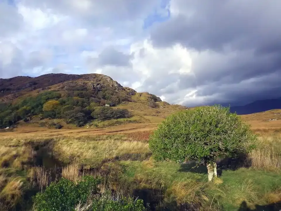 Irish countryside landscape