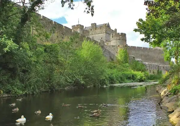 Cahir castle walls in Ireland alongside river with ducks swimming