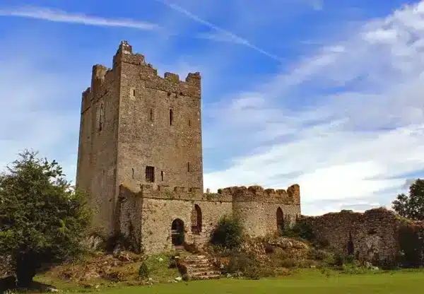 Clonony Castle, County Offaly, Ireland