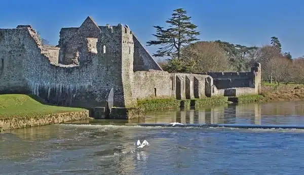 Desmond Castle, County Limerick, Ireland, on the banks of the river with birds flying past