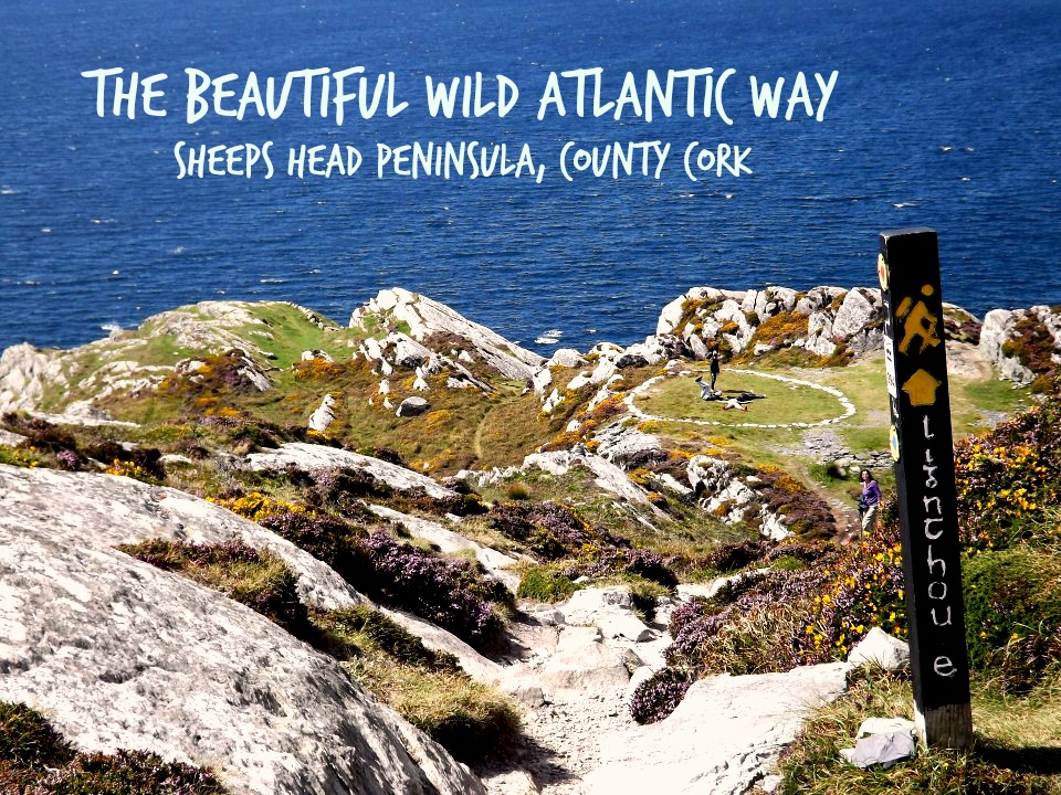On the Wild Atlantic Way - at the end of the Sheep's Head Peninsula