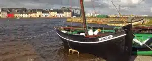 Tribes of Galway