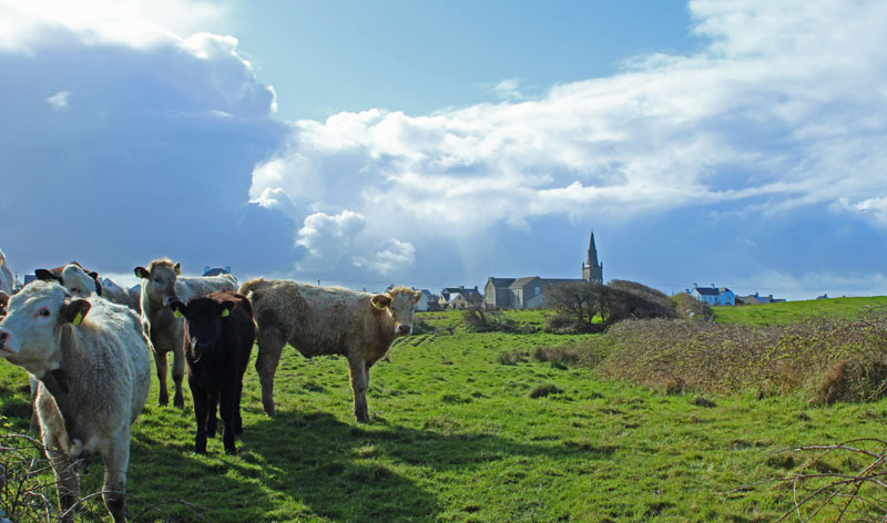 Blog Clonbony 2 - The Delightful Butter Roads of Old Ireland
