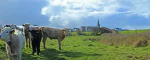 Slider jpg - Irish Homelands - County Clare