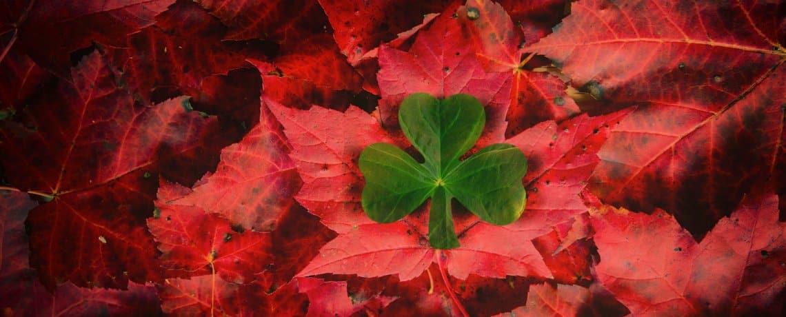 Irish Canadian Slider Irish Canadian Slider
