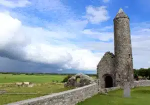 Blog 18 - Irish Homelands - County Offaly/King's County