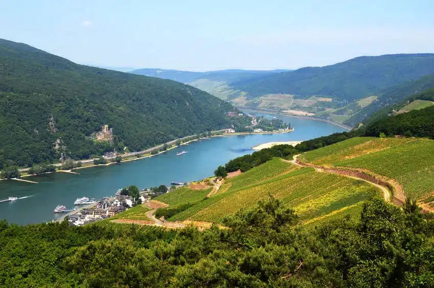 37377095 - amazing view over the river rhine from the top of the hill in rudesheim, germany