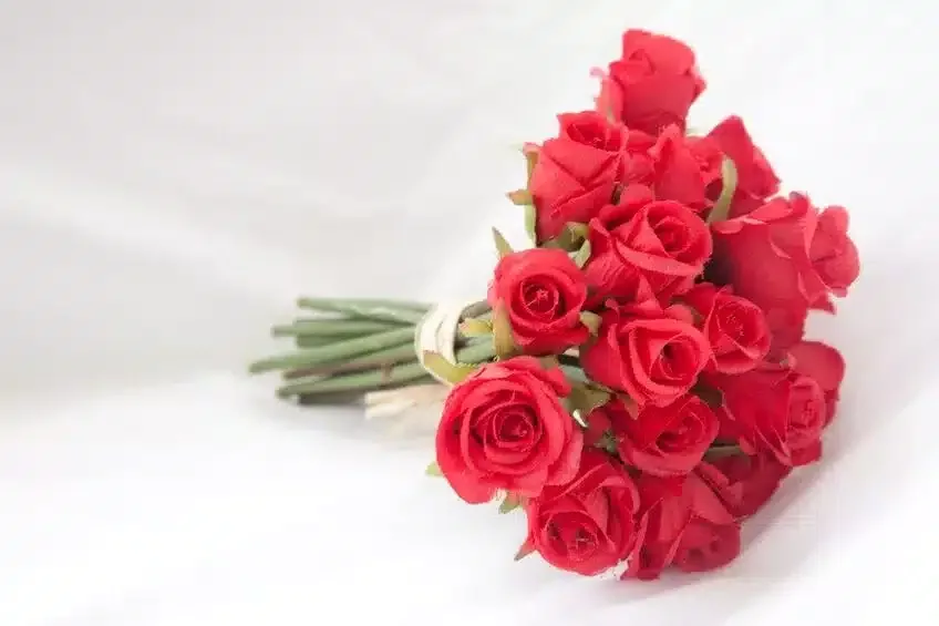 7408459 - a bouquet of red roses, on a white background.