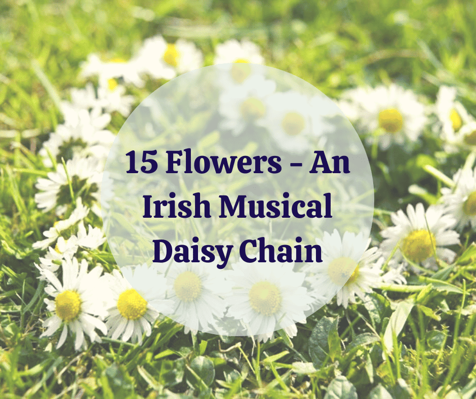 15 Flowers - An Irish Musical Daisy Chain