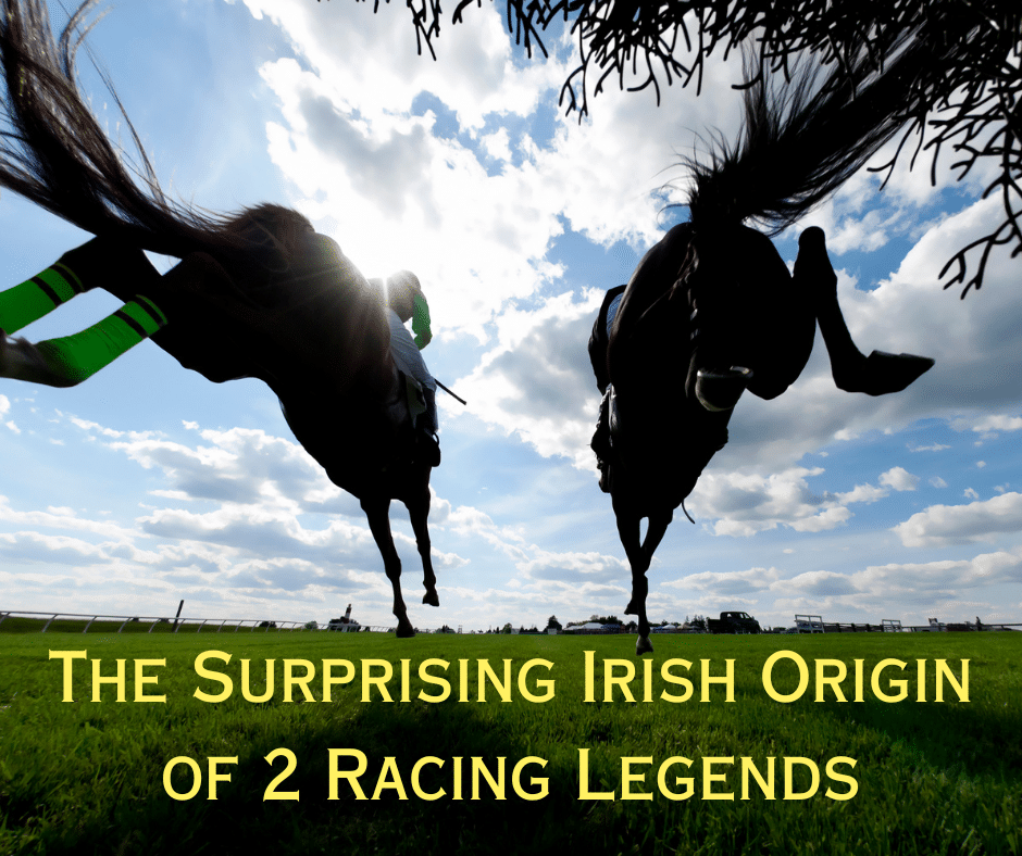 Irish horse racing - View of a race