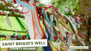 Clootie cloths hanging from a tree by St Brigids Well, Kildare, Ireland