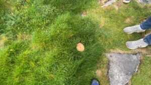 thumb 2 - Aran Fairy Ring, County Galway