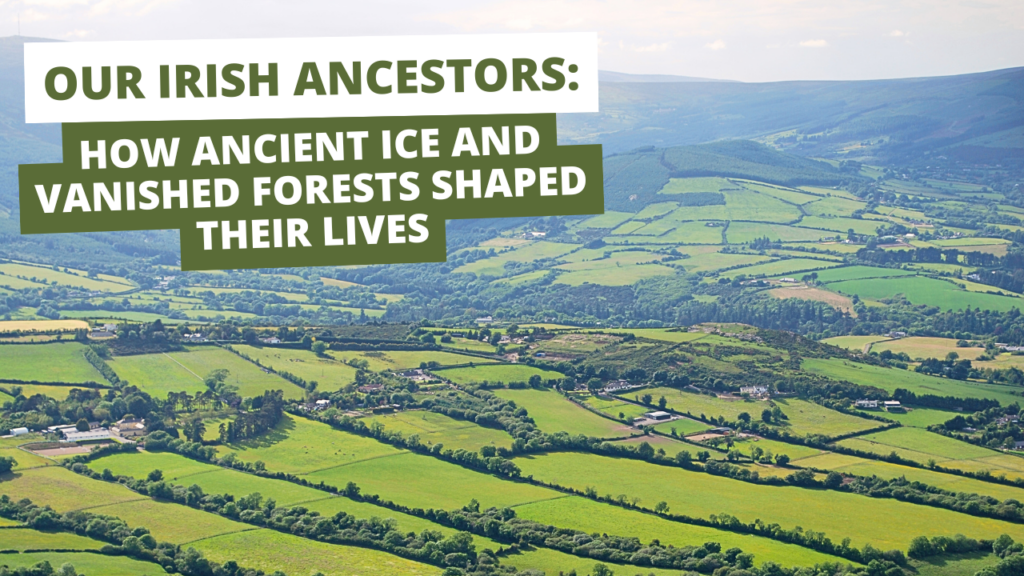 Our Irish Ancestors