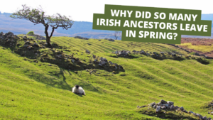 March 1st Newsletter - Why Did So Many Irish Ancestors Leave in Spring?